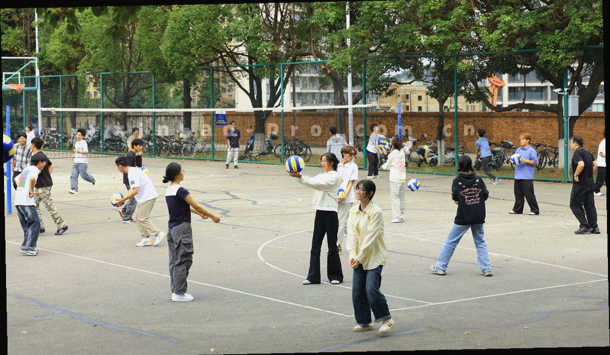 深墨绿底上的青岛海岸线与城市网格抽象图形，无具体建筑照片